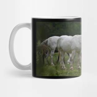 Wild Horse Mug